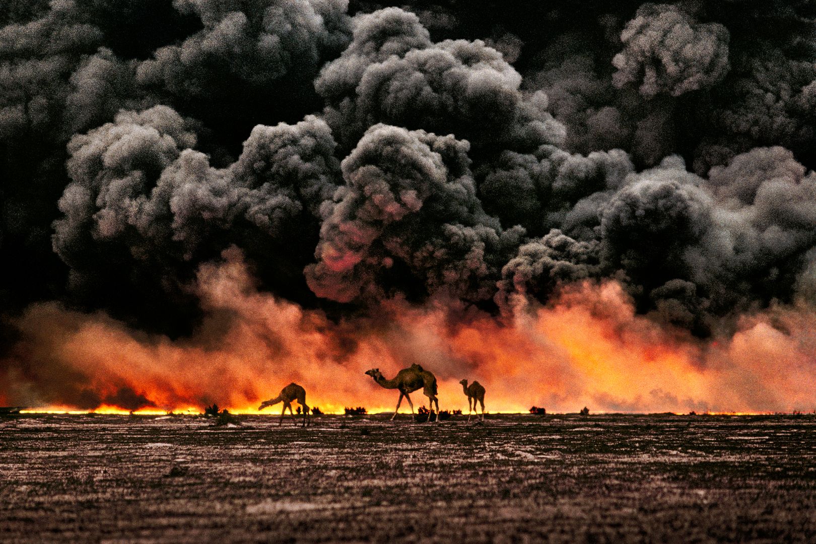 Théâtre Moyen-Orient : puits de pétrole en feu, désert irakien